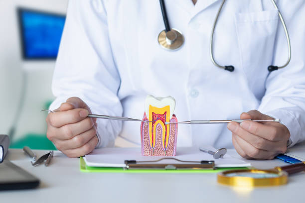 Best Urgent Dental Care for Toothaches in Clinton, IA